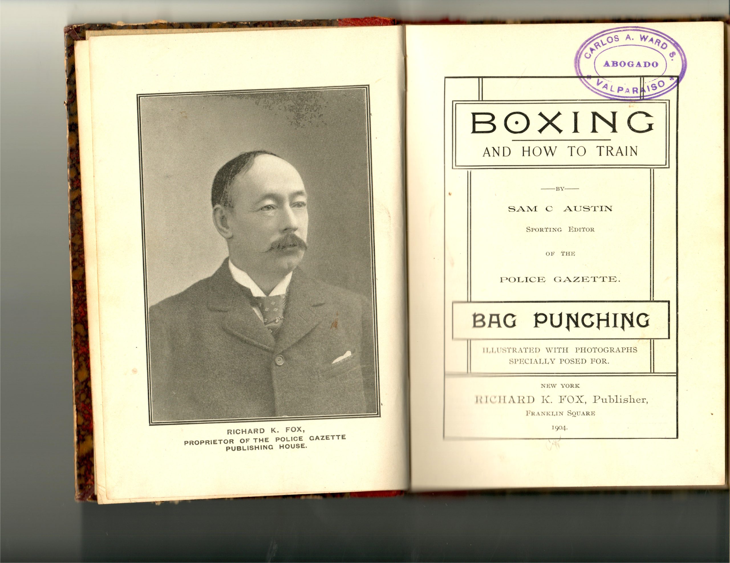 Austin, Sam - Boxing and How To Train - Image 4